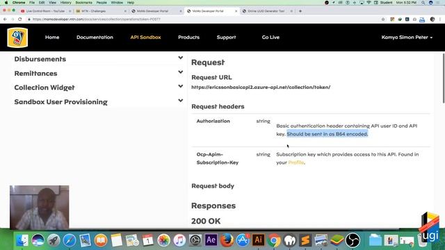 MTN API Integration part 2_Sandbox_Get the ACCESS TOKEN смотреть онлайн