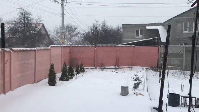 #576 VLOG 🎄⛄️❄️ Поздравляю всех с Рождеством.🎅 Снегопад-снегопад. смотреть онлайн