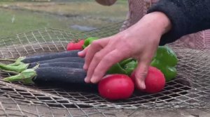 Приготовление Курицы с Картофелем в Тандыре под Красивым Снегом в Деревне.