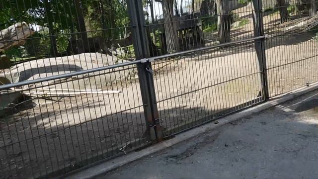 Зоопарк Хельсинки/ Zoo Helsinki, Finland (May 2019) - Speed
