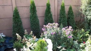 Цветник своими руками.Названия всех растений в цветнике Размеры цветника.Цветникнепрерывногоцветени