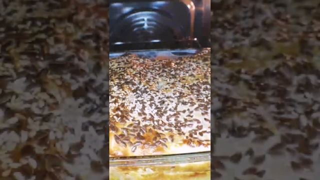 Современные Инструментальные Мелодии