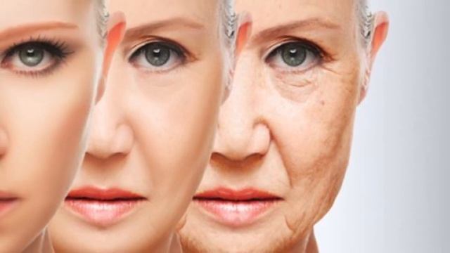 ЧТО ТВОРИТ Денежное дерево  Толстянка!  Многие не знают об этом!