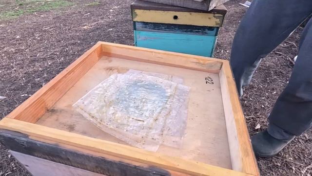 Огненная сыта решает многие проблемы на пасеке. смотреть онлайн