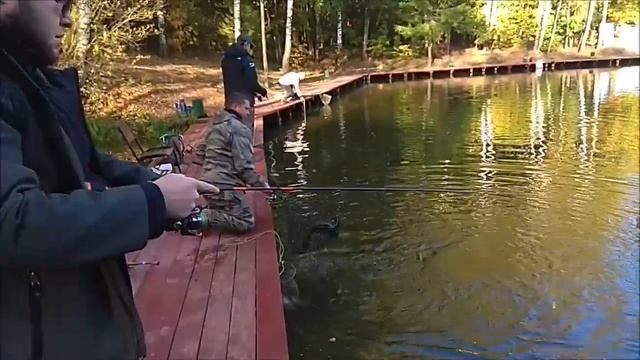 Продолжает работать железо в ярких цветах. Клёвое место, Лосиный остров, спорт-зона.