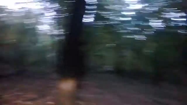 Тула тмз 5.952 смотреть онлайн