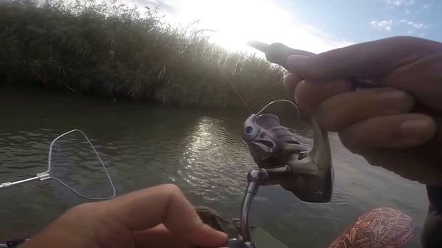 Нижняя Волга 2015 октябрь судаки на каждой проводке смотреть онлайн