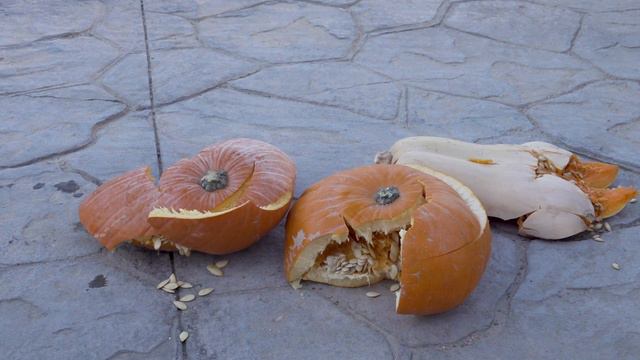 Crushing Crunchy & Soft Things By Car! EXPERIMENT: Car Vs Halloween PUMPKIN