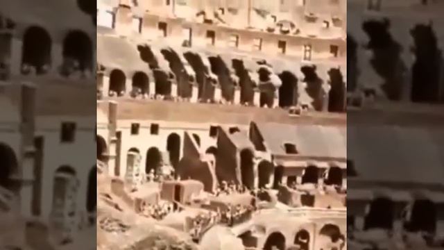 Колизей и Гладиолусы смотреть онлайн