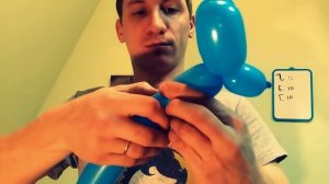 Собачка из шарика. Как сделать собачку из шариков