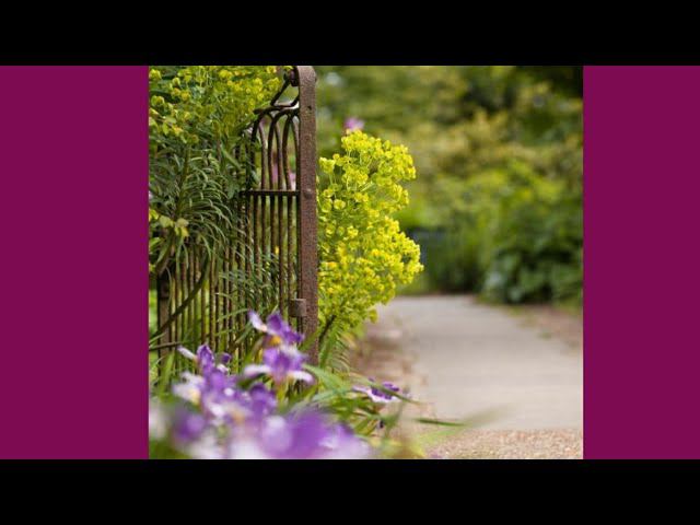 20 мая 2019 г.Дачный влог.Сажаю свёклу. смотреть онлайн