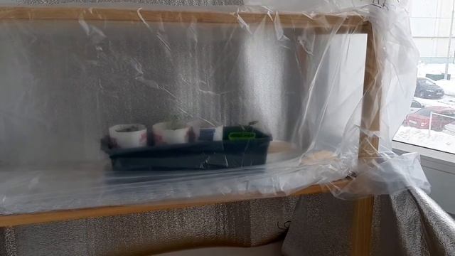 Первые вылазки рассады на балкон. 21.02.2022 смотреть онлайн