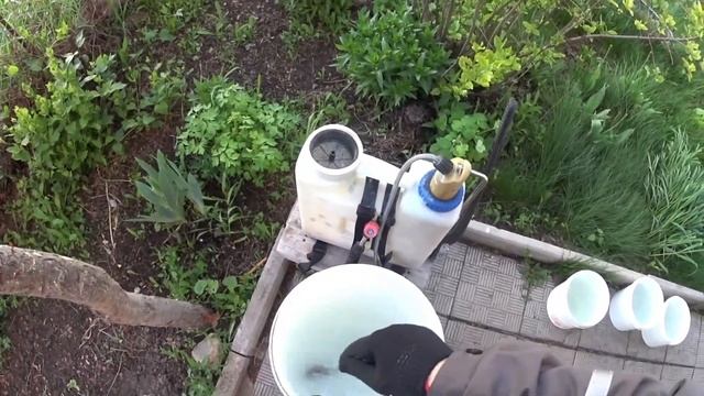 Внекорневая (листовая) подкормка клубники минеральными удобрениями. смотреть онлайн