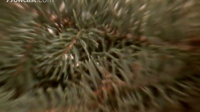 How To Make a Christmas Wreath смотреть онлайн