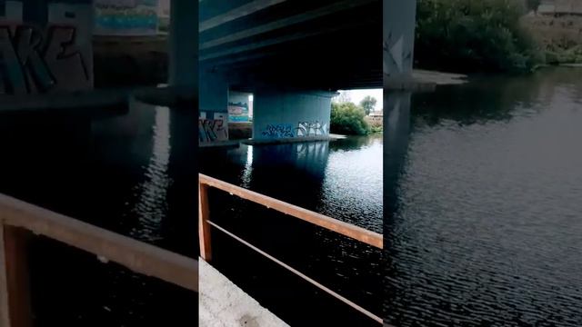 На шоссейнике)))#short