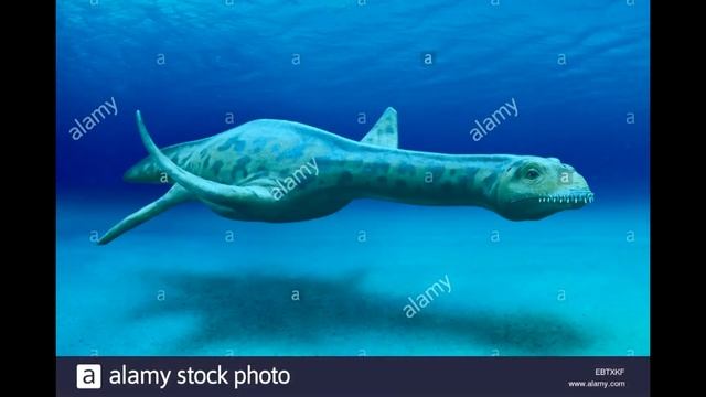 Tribute to Cryptoclidus смотреть онлайн