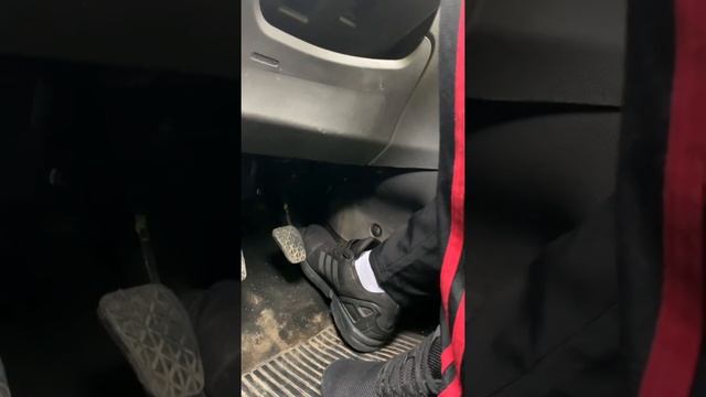 Pedal Pumping Adidas