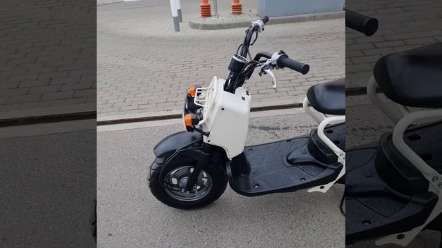 Honda Zoomer AF 58: смотреть онлайн