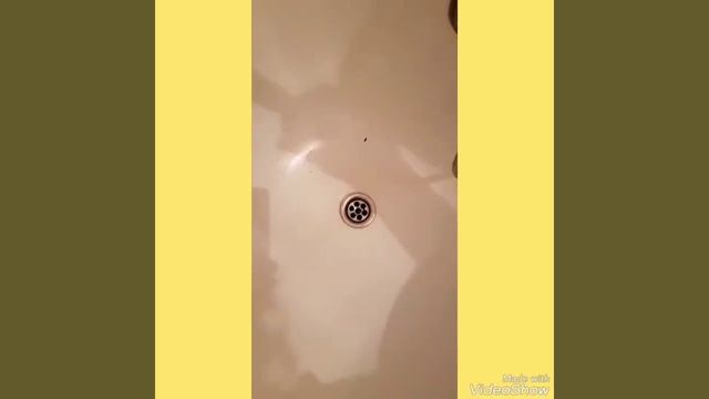 Волшебный Внешний Вид