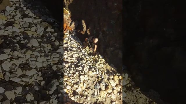 21.01.2023 Фиолент,Севастополь,Крым. 19 градусов тепла смотреть онлайн
