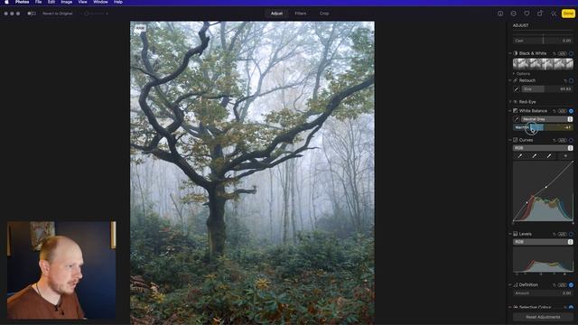 A Free Alternative to Adobe Lightroom? смотреть онлайн