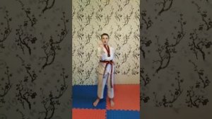 Подготовка к аттестации на жёлтый пояс тхэквондо