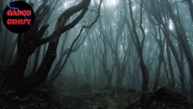 DESA GONDO MAYIT - Kisah Mistis Pendakian !!! Part 1