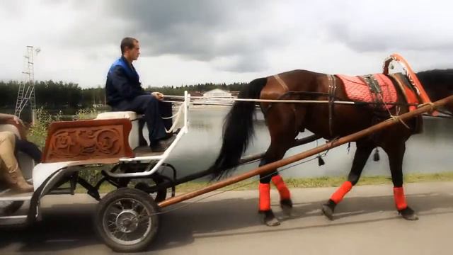 Природный курорт "Яхонты", Подмосковье смотреть онлайн