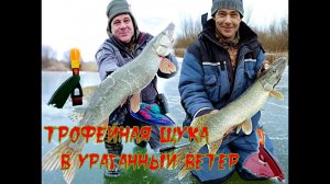 Трофейная щука в ураганный ветер