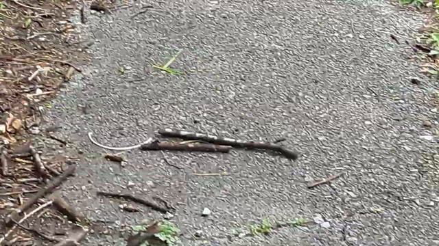 ТСЖ ** СТАРТ** г Дальнегорска ДЕЛАЕТ ВСЕ ИЗ ПОД ПАЛКИ---а палок у нас хватает смотреть онлайн