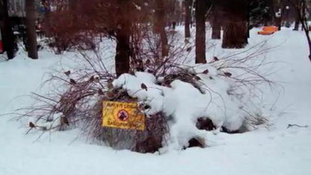 Слайдшоу "Январь в Киеве--снег и политика" смотреть онлайн