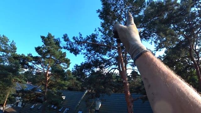 Обрезка дерева и чистка отлива на крыша частного дома. смотреть онлайн