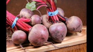 Что посадить после свёклы