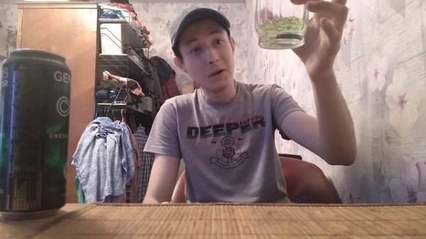 Объективно честный обзор на Genesis Green Star