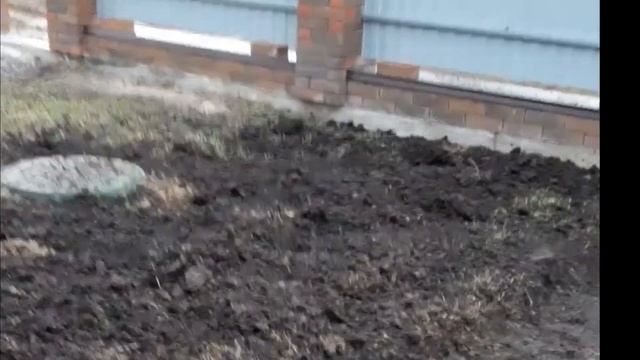 Забор из кирпича/этапы строительства забора.#забор#кирпичныестолбы#опалубка#арматура#бетон#ворота смотреть онлайн