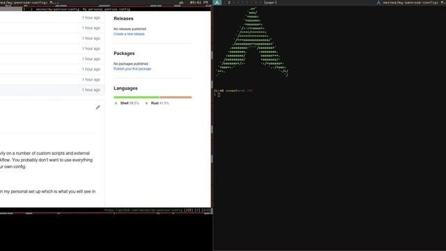 penrose (0.1.6 / 0.1.7): multi-monitor and user defined hooks смотреть онлайн