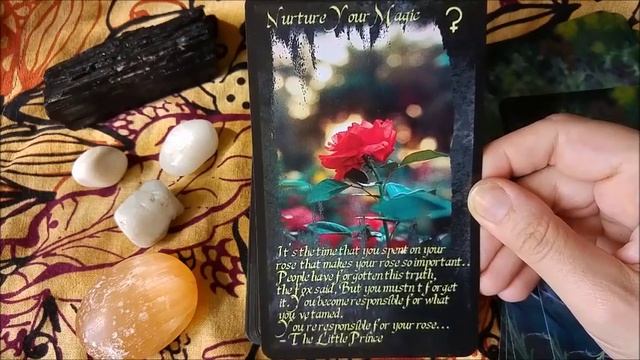Poet's Oracle Walkthrough смотреть онлайн