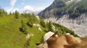 ПОЛЕТ ОРЛА С ВИДЕОКАМЕРОЙ !!!