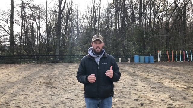 Pivo Pod for Horses, Does it Work? смотреть онлайн