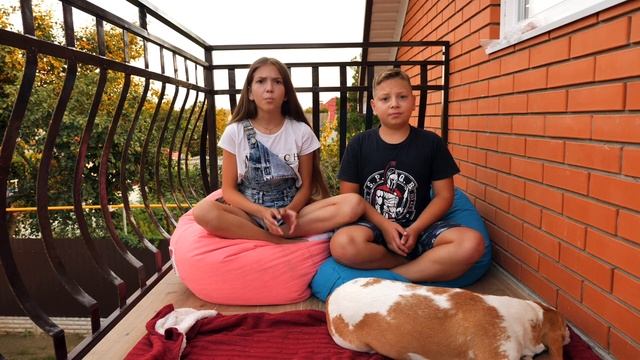 10 ФАКТОВ О НАШЕЙ СОБАКЕ! смотреть онлайн