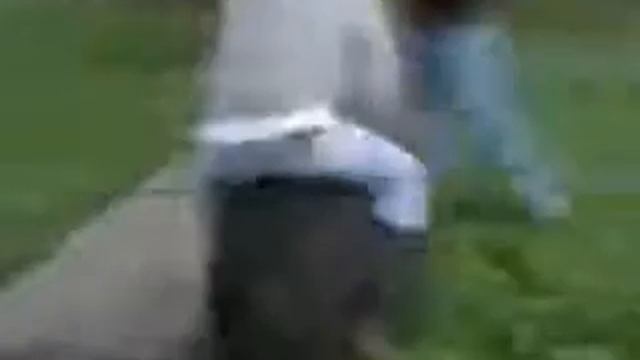 Смешной кабан смотреть онлайн