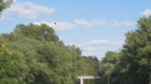 War Thunder: настройка графики, синхронизация. INDOOS GUIDES