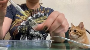 Цетротид.Укол в живот.