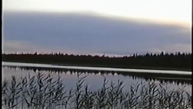 Воньга смотреть онлайн