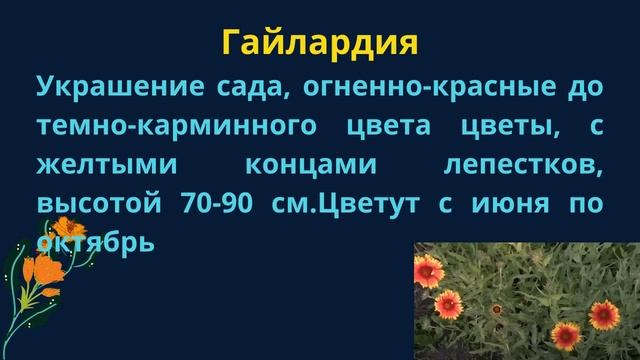 10 многолетников, которые нужно посеять на рассаду в марте и апреле смотреть онлайн