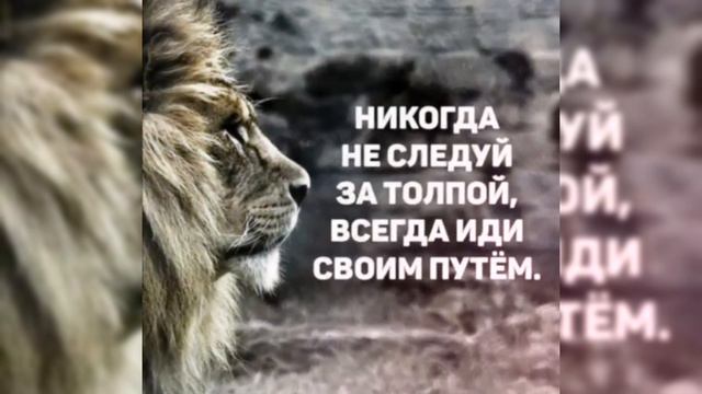 Я тебя искал.mp4 смотреть онлайн