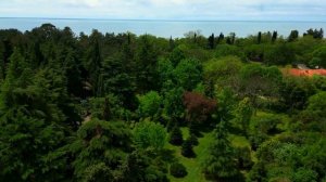 Самшитовая роща. Пансионат. Территория.