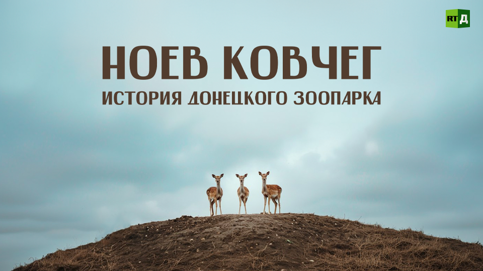 Ноев ковчег. История донецкого зоопарка смотреть онлайн