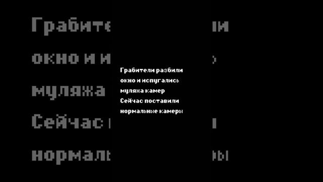 К нам вломились грабители