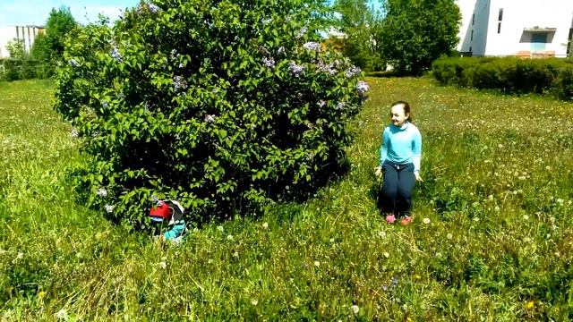 Мистер Глеб. Кузнечик и лягушка. смотреть онлайн